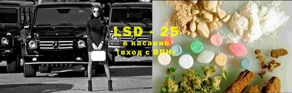 бошки Аркадак