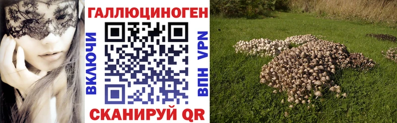Псилоцибиновые грибы мухоморы  Купить где  Никольск 